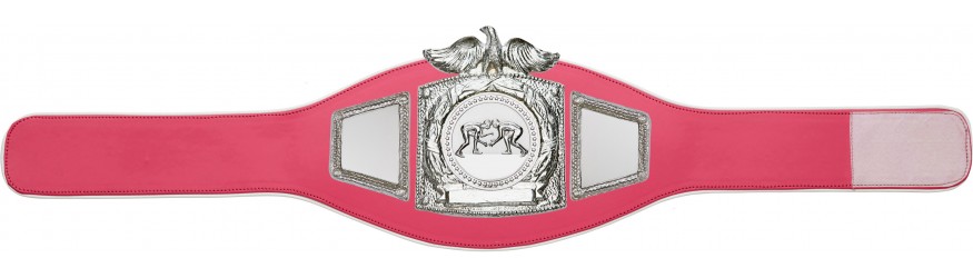 PROEAGLE GRAPPLING CHAMPIONSHIP BELT - PROEAGLE/S/GRAPS - AVAILABLE IN 6+ COLOURS